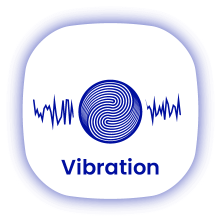 eNView™ Vibration Bundle